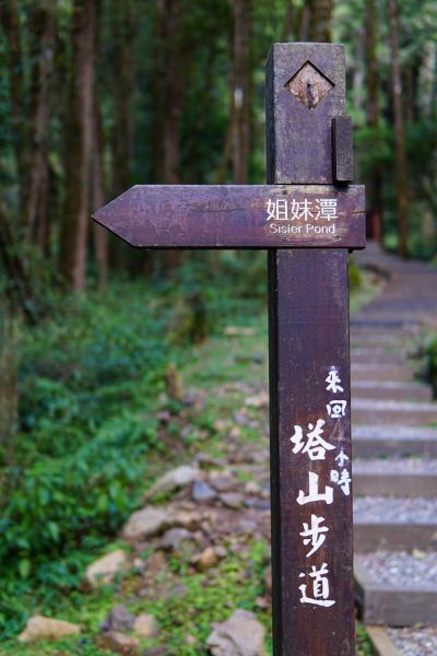 107.02.18 大塔山步道276060