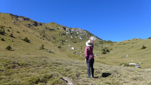 大好天氣的奇萊東稜488933