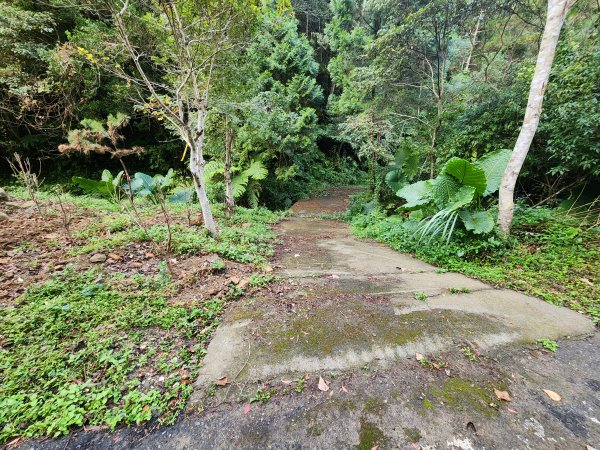 20251214石牛山柑坪山新柑坪山牛背岩2972717