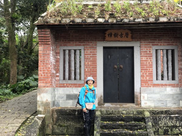 第七段 世界山莊-飛龍步道政大後山1587794