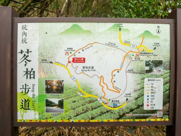 坑內坑森林步道—風鈴木1645682