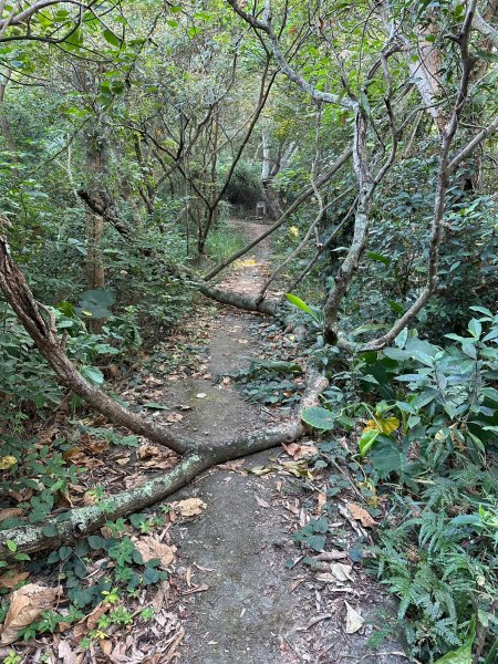 田中森林公園登山步道1889728