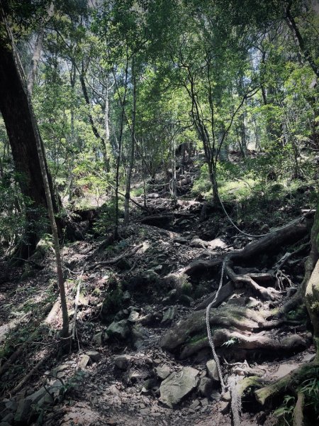 谷關七雄 《 馬崙山 》2025 09/062879771