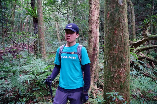 新竹關西鎮 水田林道之貴妃&那結山連走1539748