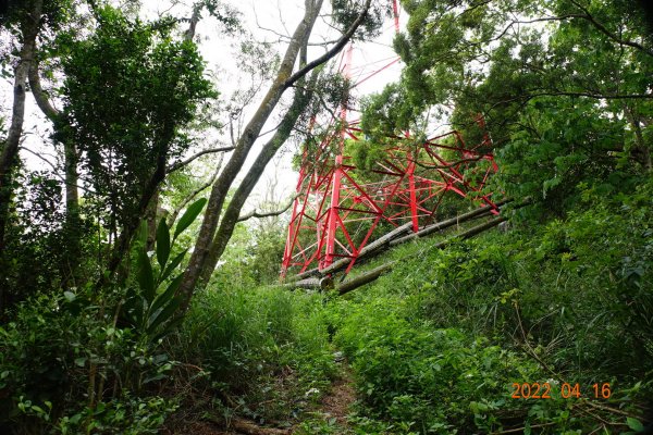 苗栗 銅鑼 大薰山1677704