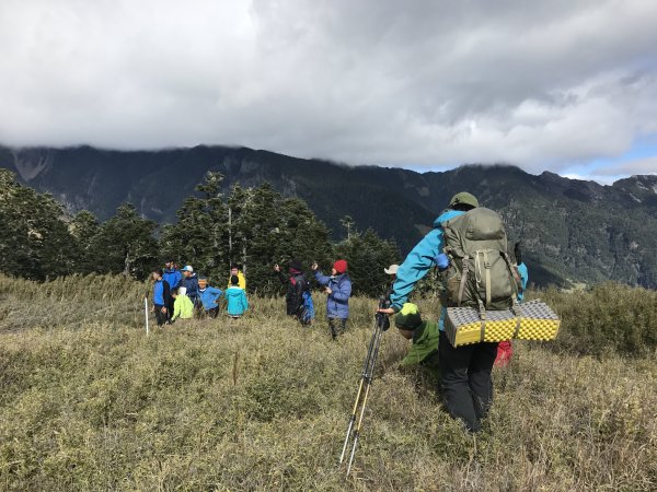 雪山 不下雪533027
