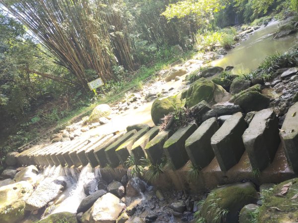 四寮溪生態步道2882172