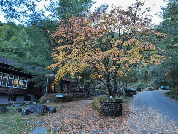 玉山後四峰20251216~192967029