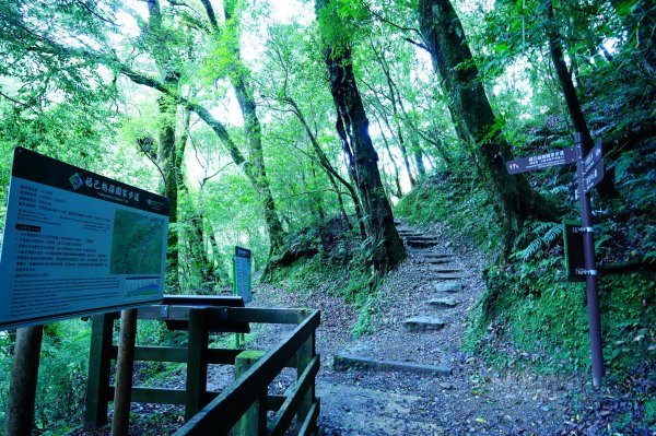 新北 烏來 塔曼山3119484