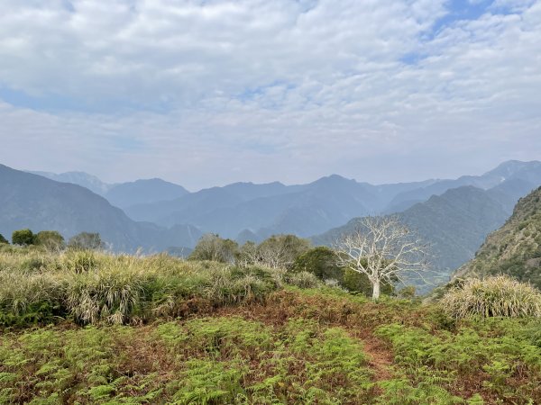 迴頭彎上鍛鍊山海鼠山O型縱走(下)1312516