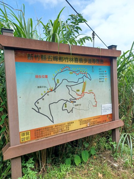 【新竹五峰】迷霧山林。 民都有山登山步道(面托油山)x民都有山北峰2991854