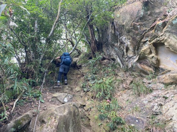 大橫屏山.禪機山仙佛寺【帶刺的外表 溫柔的內在】1527980