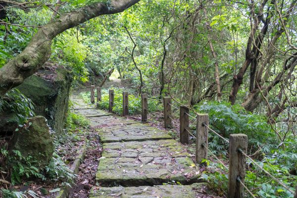 魚路古道北段406031