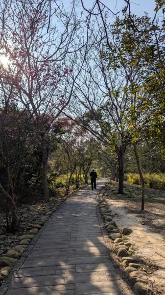 竹坑南寮登山步道2719366