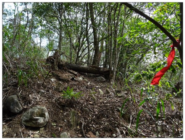 裡冷山、裡冷山南峰 ( 台中、和平 )1645819