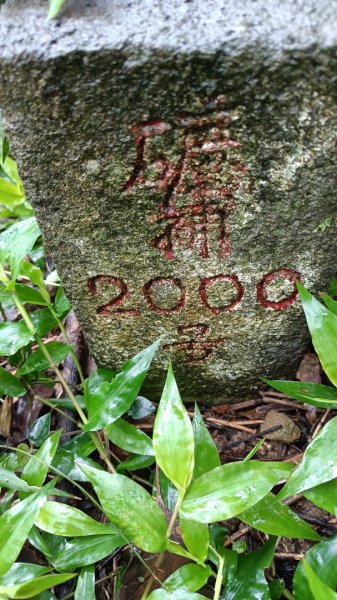 金交椅山東北峰2729807