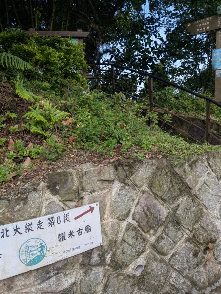 2025-06-08 臺北大縱走第六、七段2814199