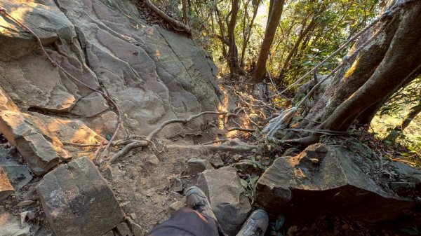大橫屏山步道2977335