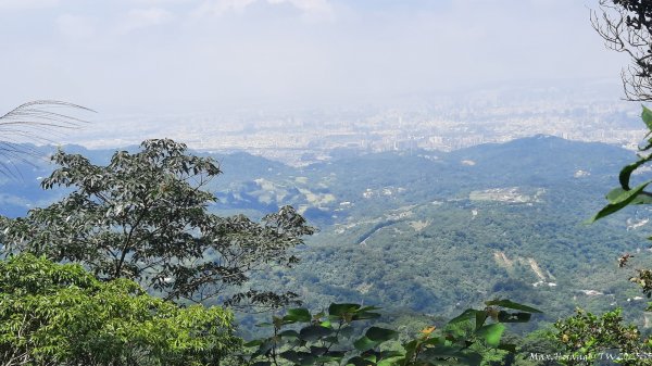 《台中》虎頭蜂巢｜大坑5號登頭嵙山黑松亭（聖普宮）202508092855075