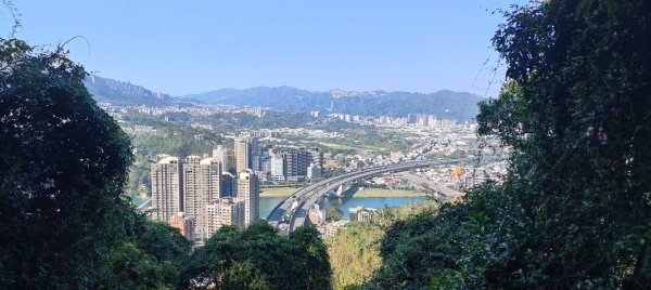 新店獅頭山(小獅山)步道2694753