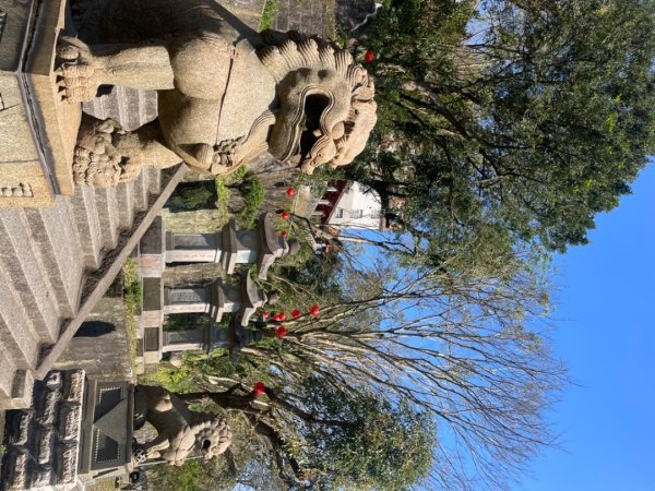 拱北殿賞楓🍁雙湖縱走賞落羽松2686639