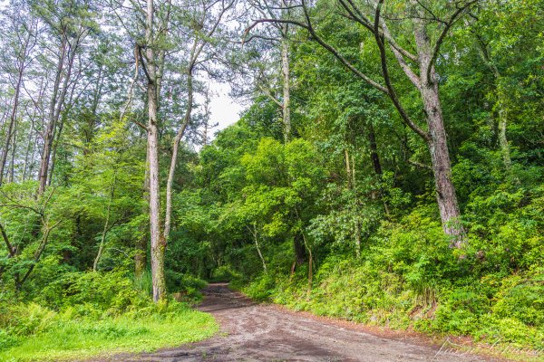 [百岳]大小劍未完2784239