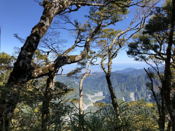 漫步探訪台灣山毛櫸國家步道965895