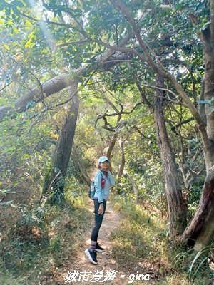 【新竹東區】十八尖山x十八尖山東峰x石家魚丸x東門倆冰糖葫蘆x城隍廟鄭家蛋糕2984206