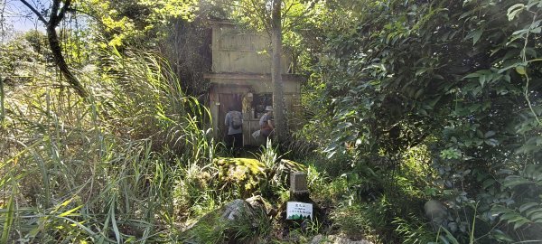 2025/06/15_盡尾山步道