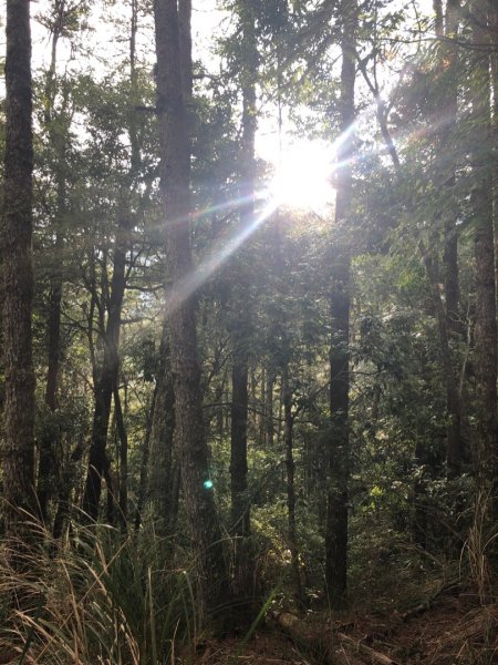 平多o走（平岩山，多加屯山，勝光山）1849540