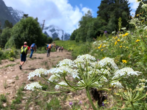 【俄羅斯】Mount Cheget 環景影片