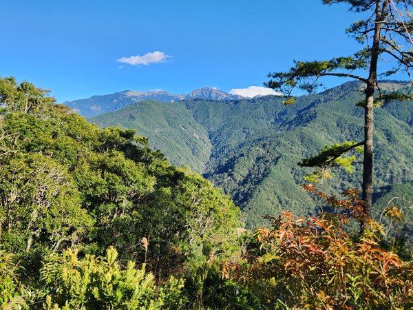 【中級山縱走】羅馬縱走，走進神木的夢幻童話森林世界2943256