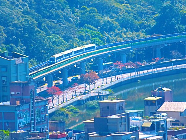 龍年首登的好選擇，鯉躍龍門，搭捷運來內湖爬三尖，鯉魚山、忠勇山、圓覺尖2426571