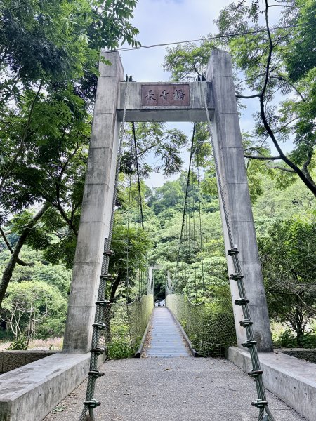 好久沒來大坑4號步道 2026.6.243079526