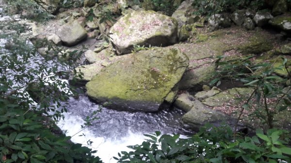 三峽滿月圓步道589238