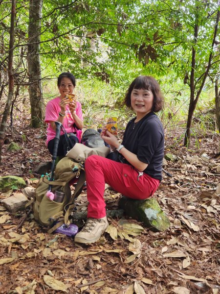 112/2/11芝生毛台山、屯野生炮台2148090