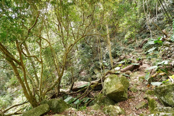 台中 和平 東卯山2674527