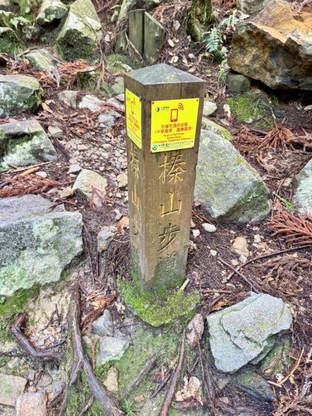 觀霧-榛山步道2926006