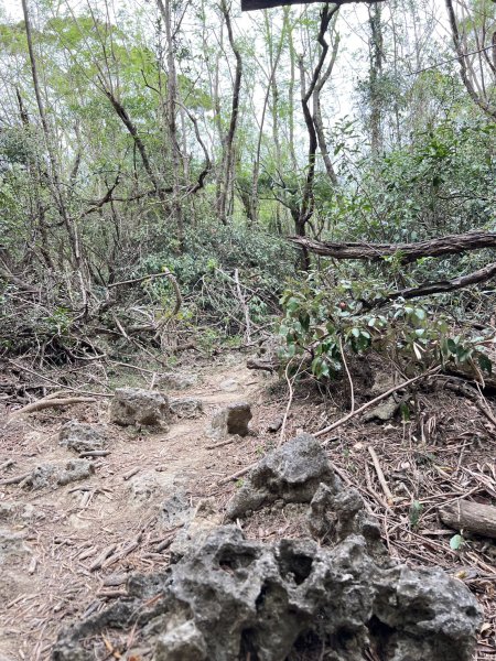 小百岳-大山母山2752552