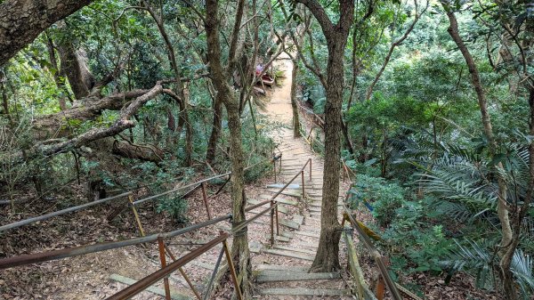 【台灣健行】台中天際線、南觀音山2695729