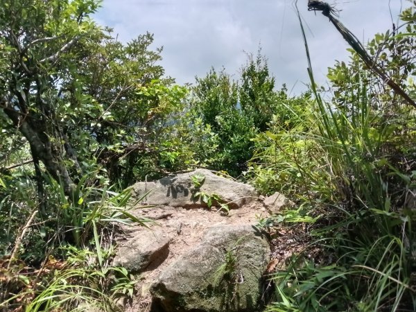 內湖區大丘田保甲路+開眼山+白石湖山+白石湖山東峰+大邱田山+消防山O型2858943