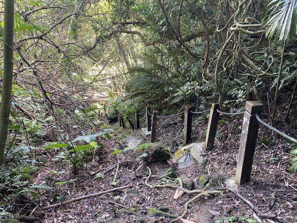 2025微笑山線大縱走尋寶集章任務-Ep.04【天上山系】望月亭桐花段｜石門內尖山東峰 ×石門內尖山2979171