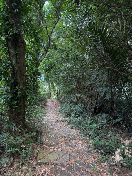 風空子山- 一睹南化水庫風景2771396
