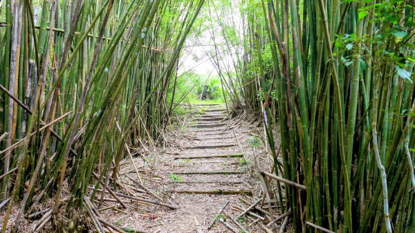 向北的龜溪縱走。評耶哀2777743