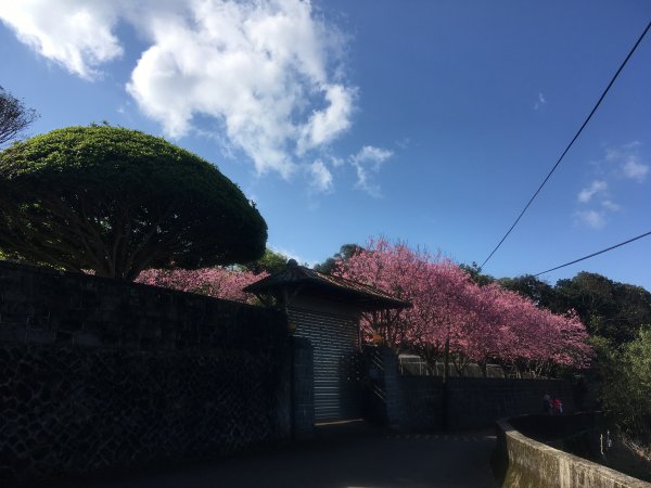 2021.02.23 天元宮-〖山仔頂步道〗【向天池山】-向天池【向天山】【面天山】-二子坪1676552