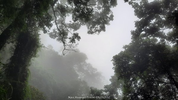 《雲林》望好望角｜石壁山嘉南雲峰步道(中側登山口）202506072805354