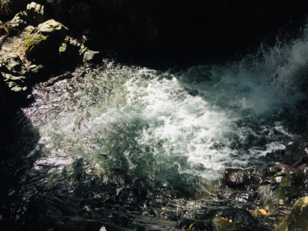 林美石磐步道446330