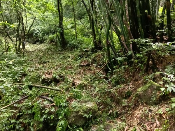 平溪區三功大厝+番子坑山+千階嶺步道O型2781125