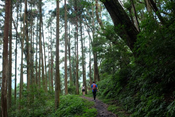桃園復興區  東卡O縱2823842