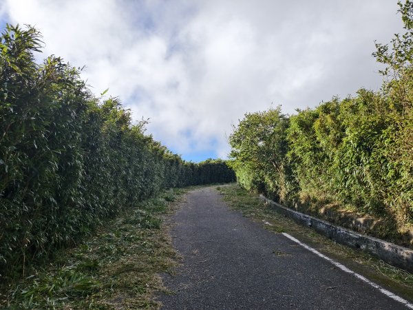 [百山百鳥尋旅-11/15] 2025_0927 大屯主峰-連峰步道_大屯山2899265